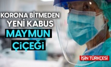 Maymun çiçeği virüsü yayılıyor!