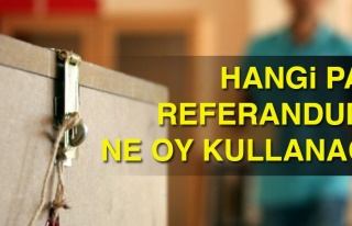 Hangi parti referandumda ne oy kullanacak?