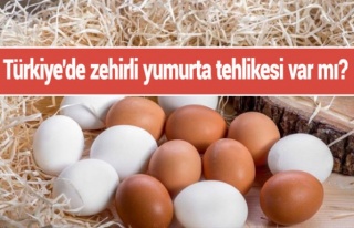 Türkiye'de Zehirli Yumurta Tehlikesi Var mı?
