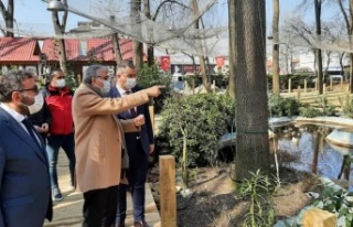 Ormanpark’ta çalışmalar hız kazandı