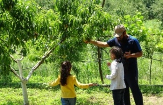 Turistler bu bahçeyi çok seviyor