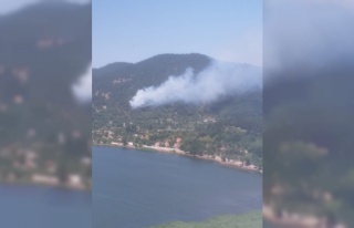 İzmir’de orman yangını