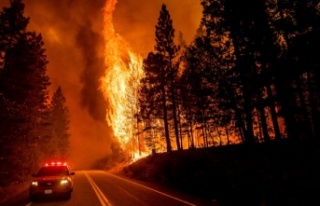 California'da 7 bölgede yangınlar devam ediyor!