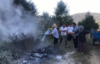 Kovayı kapan ormana koştu