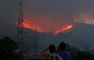 Milas'taki termik santrale sıçrayan yangın...