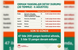 Tarım ve Orman Bakanı Pakdemirli, orman yangınlarına...