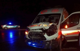 Ambulans ineğe çarptı