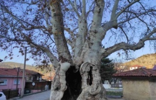 Sakarya’nın Taraklı ilçesinde Osmanlı’dan...