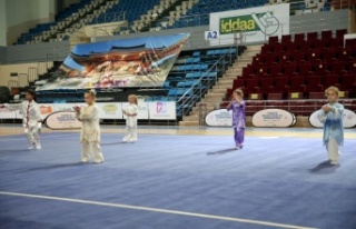 Wushu Tai Chi Türkiye Şampiyonası Sakarya'da...