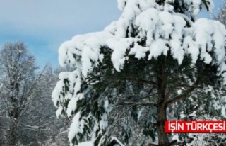 Sakarya’da kartpostallık kar manzaraları