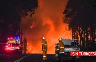 Avustralya’da orman yangını