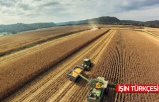 Tarım-ÜFE yıllık yüzde 84,11 arttı