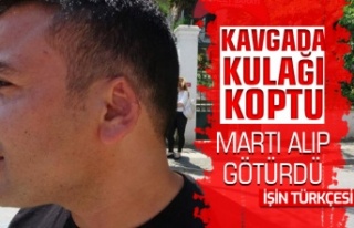 Kavgada kopan kulağı martı alıp götürdü