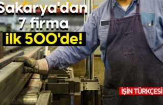 Sakarya'dan 7 firma ilk 500'de!