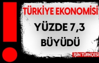 Türkiye ekonomisi ilk çeyrekte yüzde 7,3 büyüdü