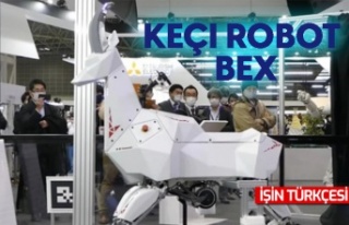 Japonya'da keçi tasarımlı robot: BEX