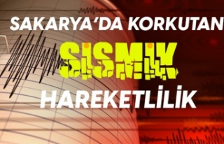 Sakarya'da art arda 3 deprem!