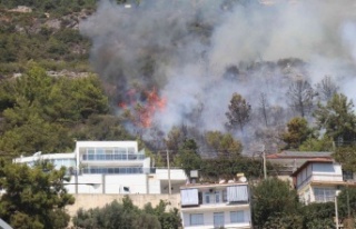 Alanya’da orman yangını