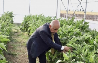 Bakan Kirişci: “Yılın ilk 8 ayında tarım ürünleri...