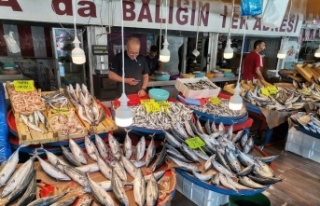 Bandırma’da balık tezgahlarında yoğunluk