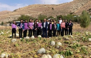 Bayburt’ta öğrencilere organik tarım ve ata tohumunun...