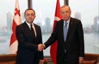 Cumhurbaşkanı Erdoğan, Gürcistan Başbakanı Garibaşvili...