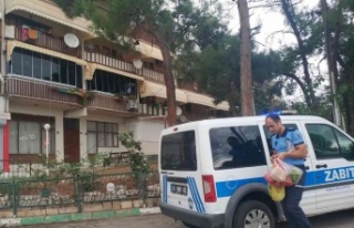 Gemlik’te zabıtasından şefkat eli