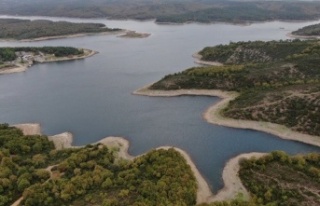 İstanbul’un barajlarında doluluk oranı yüzde...