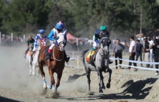 Pırlanta Pirinç Festivali’nde at yarışları...