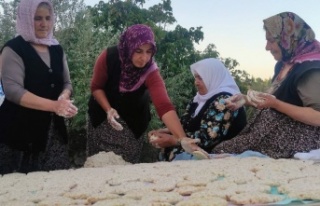 Yozgat’ta kadınlar imece usulü tarhana yapımına...