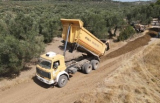 Zeytinlikler arası yollar hasada hazır