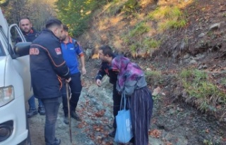 Yeğeniyle mantar toplamaya giden yaşlı kadın ormanda...