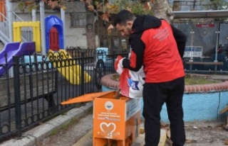 Sokaktaki canlar mamaya kolayca ulaşıyor