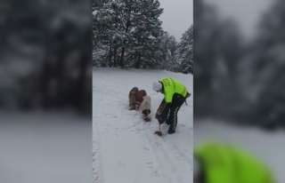 Devriye gezen trafik ekiplerinden kar altında yiyecek...