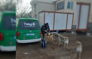 HAYDİ, deprem bölgesindeki can dostlarını yalnız...