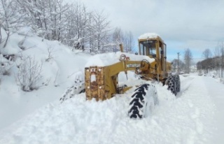 Ordu’da karla kapanan 197 mahalle yolu ulaşıma...