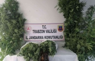 Jandarma narkotik timleri ve JASAT dedektiflerinden ortak operasyon