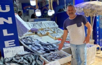 Sinop’ta az miktarda avlanan hamsinin kilosu 50 TL