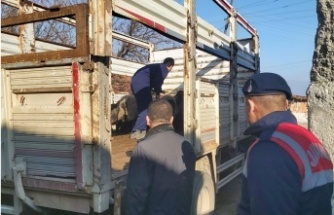 Bilecik’te sahte banka dekontla hayvan hırsızlığı yapan şahıs yakalandı